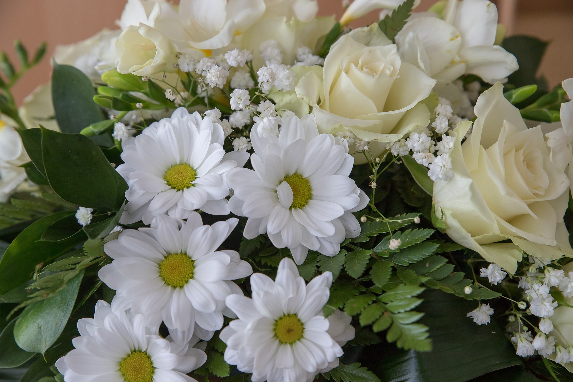 flowers-gff3d079ac_1920